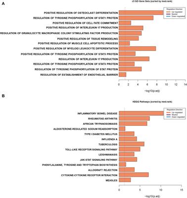 An IL-17A-centric response to Epstein-Barr virus DNA mediated by dendritic Cell-T cell interactions